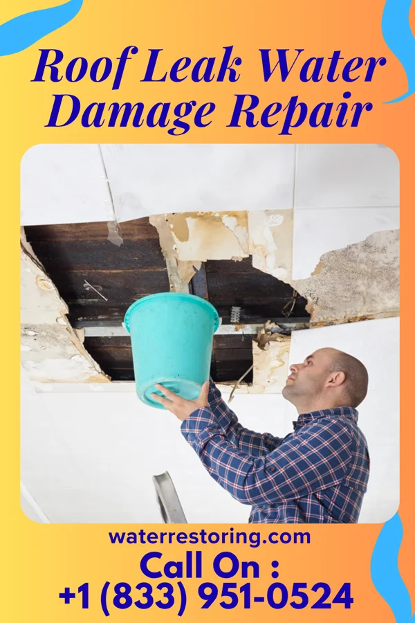Roof Leak Water Damage Repair in El Rancho Vela, TX
